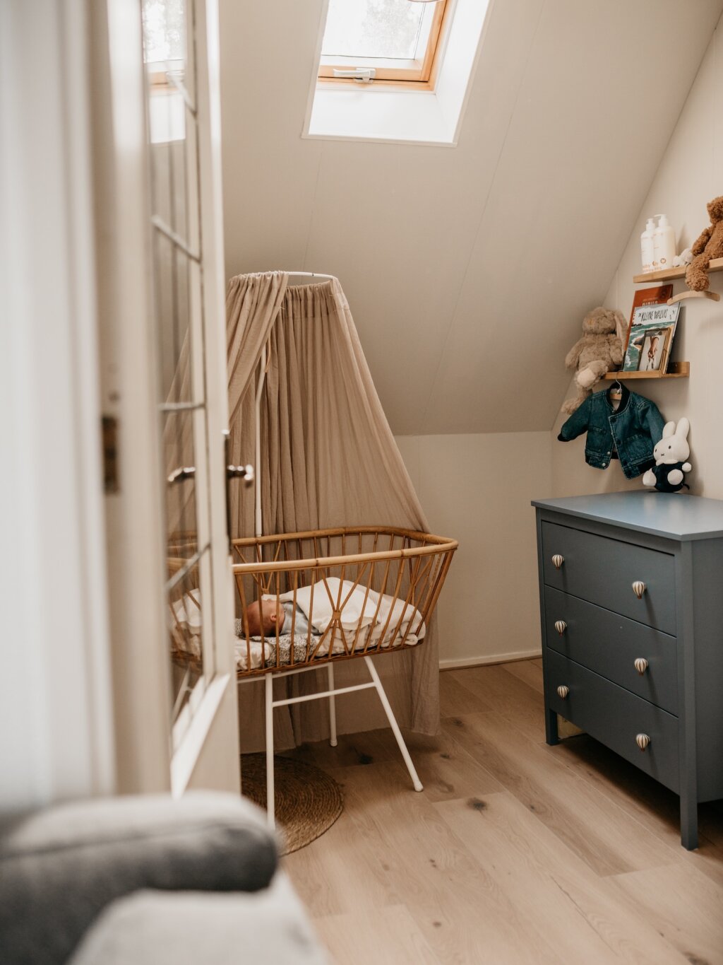 Newbornshoot Gorredijk.