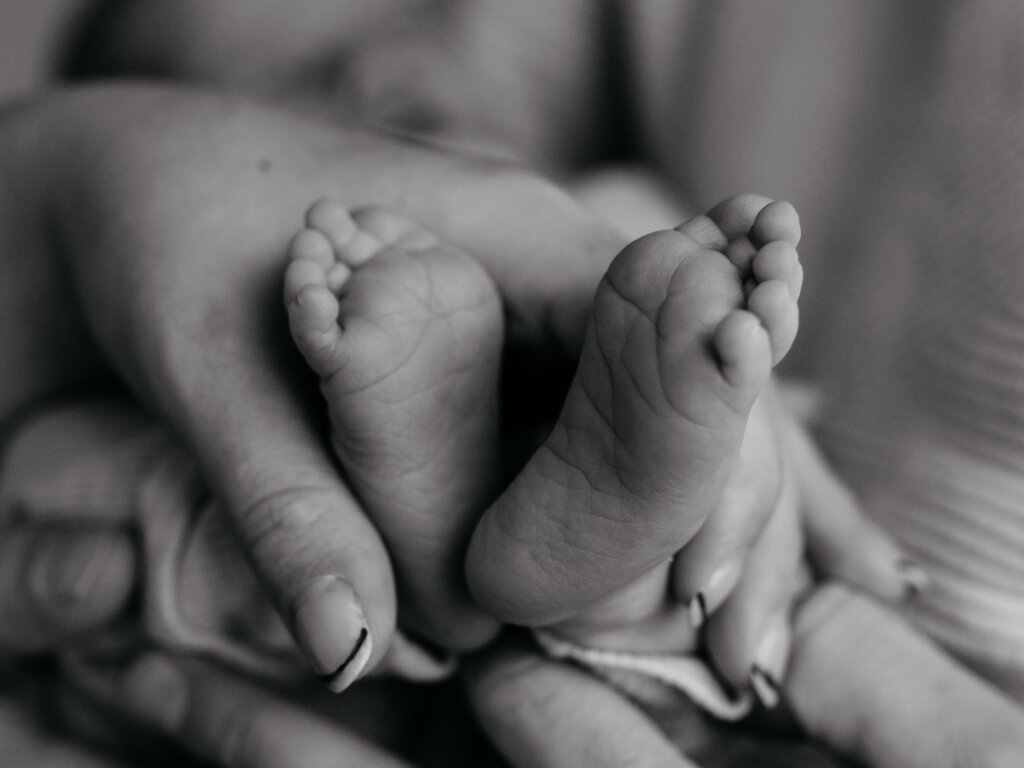 Newbornshoot Gorredijk.