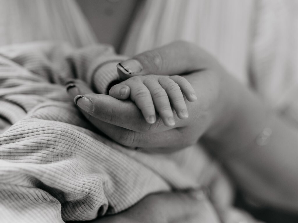 Newbornshoot Gorredijk.